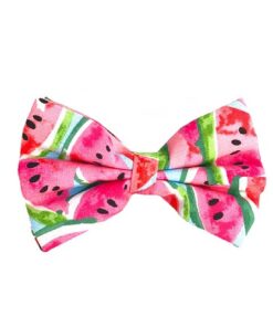Hanz Oley Watermelon Inspired Bow Tie 2 - Deals