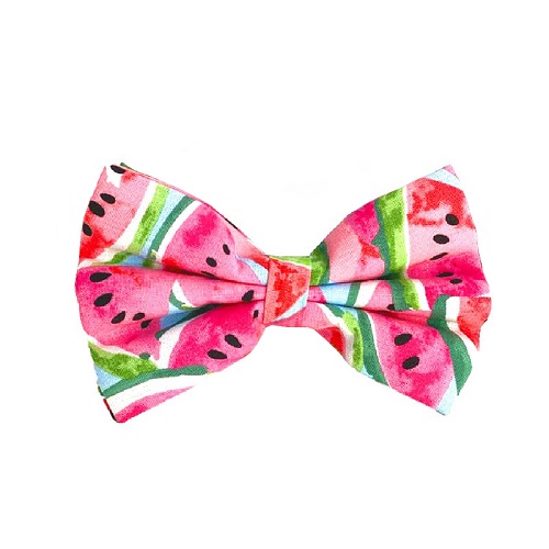 Hanz Oley Watermelon Inspired Bow Tie 2 - Hanz & Oley Watermelon Inspired Bow Tie