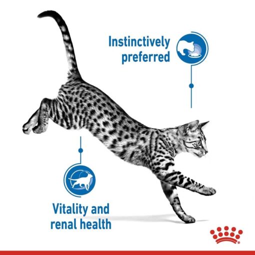 rc spt wet ind7stergravy cv 1 med. res. basic 402845 1 - Royal Canin Feline Health Nutrition Indoor 7+