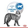 rc spt wet ind7sterjelly cv 2 med. res. basic - Applaws Cat Senior Tuna with Salmon in Jelly Tin 70g