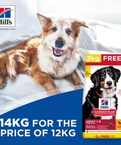 Bonus Bag offer 2 Large Breed Adult dog food with chicken 1 - Test Home Page