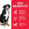 DOG Adult Large Chicken Transition Benefits 604387 - Hill's Science Plan Large Breed Adult Dog Food With Chicken