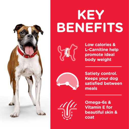 DOG Adult Medium Light Chicken Transition Benefits 604282 - Hill's Science Plan Light Medium Adult Dog Food With Chicken
