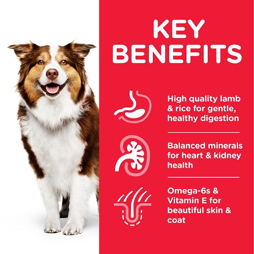 DOG MA Medium Lamb Transition Benefits 604287 - Hill's Science Plan Medium Mature Adult 7+ Dog Food With Lamb & Rice