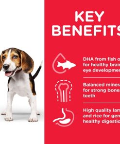 DOG Puppy Medium Lamb Transition Benefits 604353 - Home