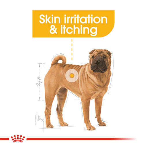 Dermacomfort 05 - Royal Canin - Canine Care Nutrition Medium Dermacomfort