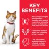 CAT Young Adult Sterilised Chicken Transition Benefits 604122 - Hill'sScience Plan Sterilised Cat Young Adult With Chicken