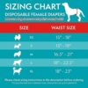 Dog Diapers XXL 5 - Simple Solution Disposable Diapers
