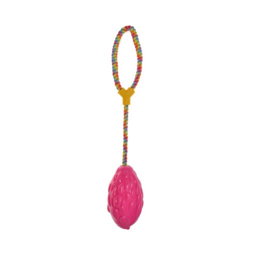 bark a boo pink - Chomper Frisbee Small