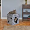Cat Cube grey 2 - Curious Cat Cube – Grey