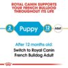 rc bhn puppyfrenchbulldog cv eretailkit 1 - Royal Canin Breed Health Nutrition French Bulldog Puppy