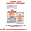 rc ccn wet coat cv eretailkit 4 - Royal Canin Canine Care Nutrition Coat Beauty