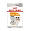 rc ccn wet coat mv eretailkit - Royal Canin Canine Care Nutrition Mini Sterilised Adult