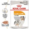rc ccn wet coat mv eretailkit 2 - Royal Canin Canine Care Nutrition Coat Beauty