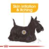 rc ccn wet dermacomfort cv eretailkit 1 - Royal Canin Canine Care Nutrition Digestive Care