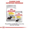 rc ccn wet dermacomfort cv eretailkit 4 - Royal Canin Canine Care Nutrition Dermacomfort