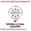 rc ccn wet exigent cv eretailkit 3 - Royal Canin Canine Care Nutrition Dermacomfort