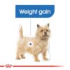 rc ccn wet lightweight cv eretailkit 1 - Royan Canin Canine Care Nutrition Light Weight Care Pouch