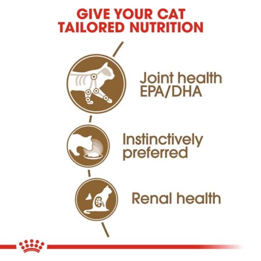 rc fhn wet ageing12jelly cv eretailkit 2 - Royal Canin - Feline Health Nutrition Ageing +12 Jelly