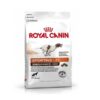 rc sport energy - Royal Canin LHN Sport Life Energy 4800