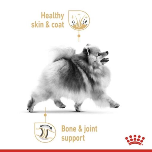 rc spt wet pomad cv 1 med. res. basic 402607 - Royal Canin Canine Care Nutrition Mini Sterilised Adult