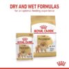 rc spt wet pomad cv 3 med. res. basic 402609 - Royal Canin Canine Care Nutrition Mini Sterilised Adult