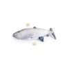 2028 2 - AFP Jittering Fish Sardine
