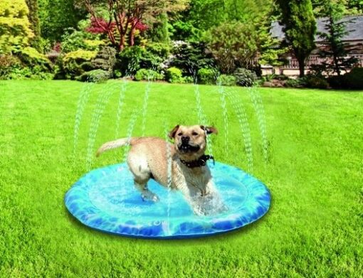 8019 big pool - AFP Chill Out Sprinkler Fun Mat