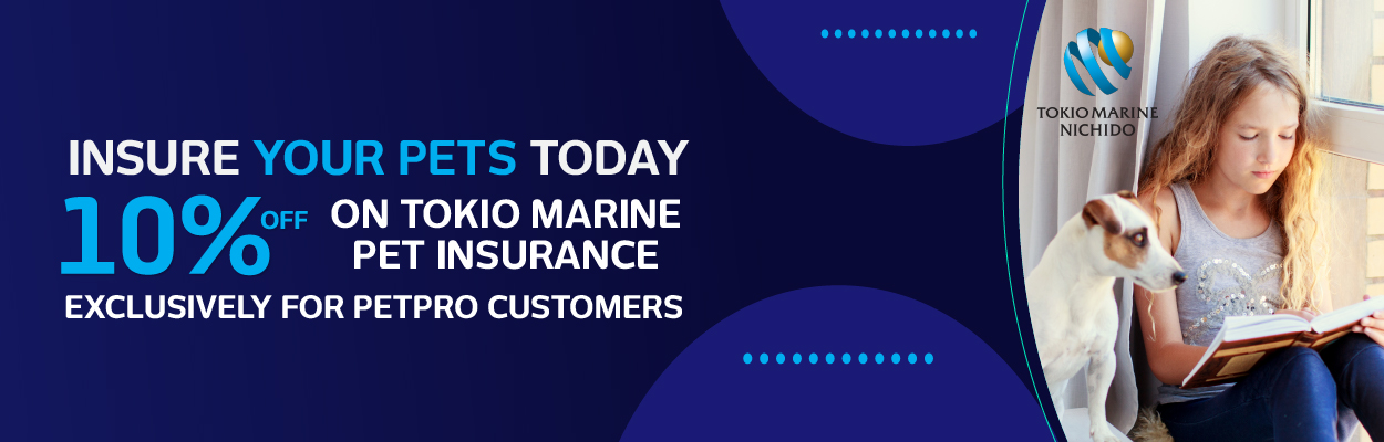 TokioMarine webpage update - Tokio Marine & Nichido Fire Insurance Co.,Ltd