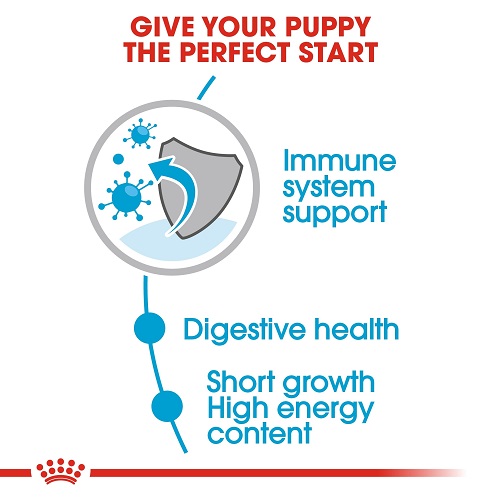 rc shn wet mediumpuppy cv eretailkit 2 1 - Royal Canin - Size Health Nutrition Medium Puppy