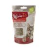 9707 1000x1000 1 - SmartyKat Sweet Greens Kit Cat Grass Grow Kit