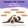 Agile mind attention pet parents - PetExx Agile Mind
