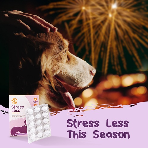 Stress Less Image 8 2 - PetExx Urinary Boost