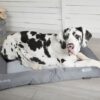 cool bed ls 3 1600x1600 1 - Scruffs Cool Dog Bed