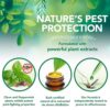 mosquito repellent 4 - Vet’s Best Mosquito Repellent for Dogs and Cats
