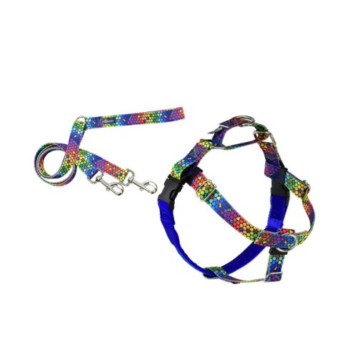 2hd 1655 complete 3 - Hounds Freedom No Pull Harness And Leash Rainbow