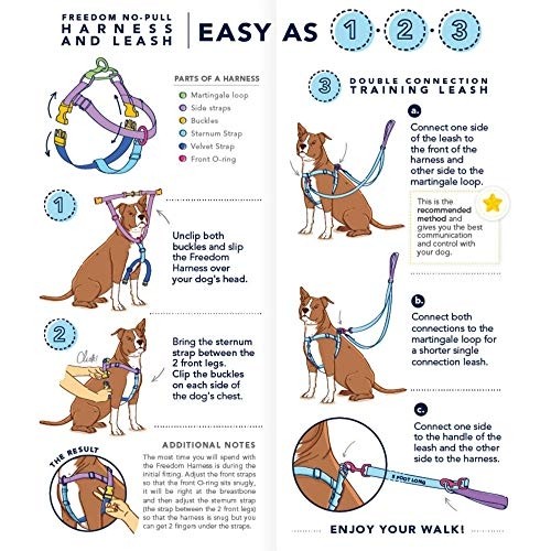 instructions 2 - Hounds Freedom No Pull Harness And Leash Rainbow