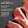 DN Small Breed Lamb Rice 3 - Diamond Naturals Small Breed Adult Dog Lamb & Rice Formula
