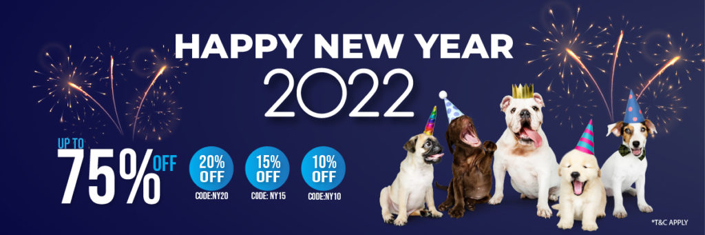 NY TC3 large - New Year Deals Terms & Conditions