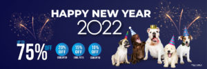 NY TC3 medium - New Year Deals Terms & Conditions