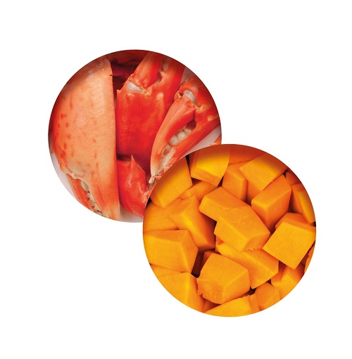 44716 ca2 fish dinner crab flavour pumpkin details rgb - Catit Fish Dinner Crab Flavour & Pumpkin 80G