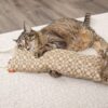 49235 5 1000x1000 1 - Petlinks Claw Kicker Hanging Scratch Pillow And Cat Toy