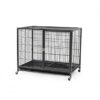 dayang dog cage 073 95 x 575 x 865cm - Safe 4 Concentrate Clear 25L