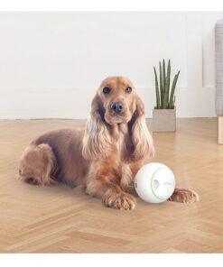 Treat Ball 1 - Test Home Page