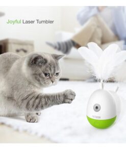 joyful laser tumbler 1 - Test Home Page