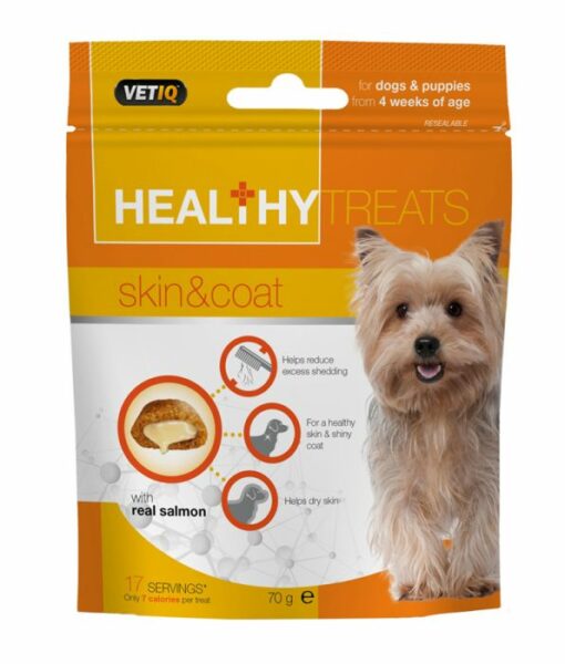 301250 - VetIQ-Healthy Treats Skin & Coat for Dogs & Puppies (70G)
