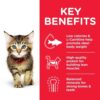 604049 CAT Kitten Chicken Transition Benefits - Hill's Science Plan - Kitten Food With Chicken