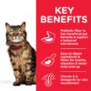 604072 ransition Benefits - Hill's Science Plan - Kitten Food With Chicken
