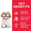 604343 DOG MA SM Chicken Transition Benefits - Hill's Science Plan - Small & Mini Mature Adult 7+ Dog Food With Chicken