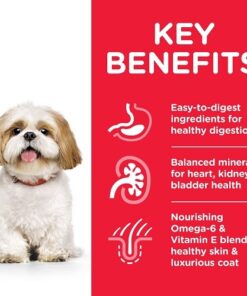 604343 DOG MA SM Chicken Transition Benefits - Home